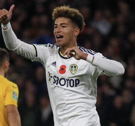 Estrasburgo de olho em Mateo Joseph (Leeds United)