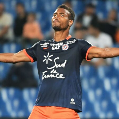 New target: Fulham now ready to pounce for 23-goal striker available for £0