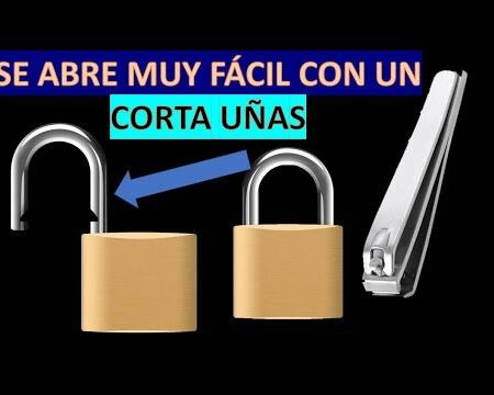 Wilcox Abre Negociações para Contratar Estrela de £35m, Visto como Ideal para Mbeumo