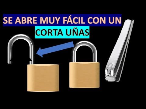 Preview Wilcox Abre Negociações para Contratar Estrela de £35m, Visto como Ideal para Mbeumo