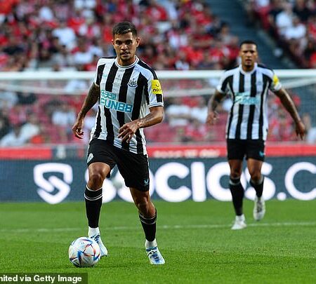 Newcastle United de Olho em Grandes Nomes do Mercado