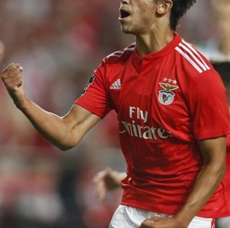 João Félix Manifesta Forte Desejo de Voltar ao Benfica