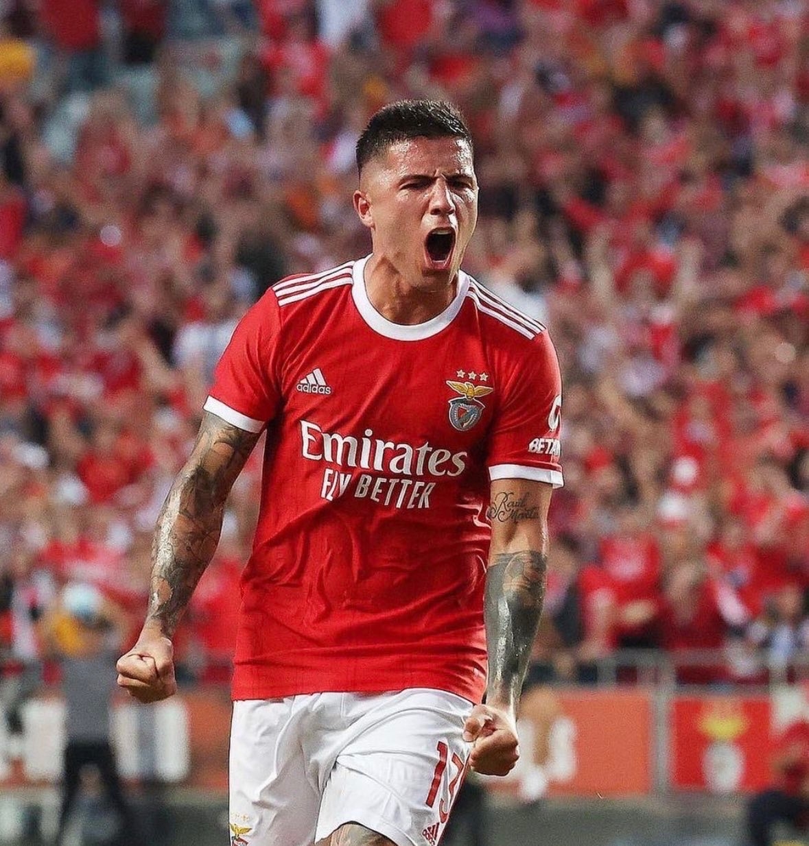 Preview Benfica Lidera a Corrida por Enzo Barrenechea