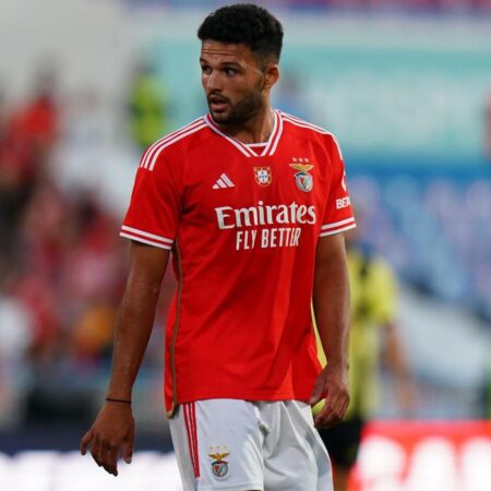 Benfica: Gonçalo Guimarães É o Novo Rosto da Comunicação Desportiva