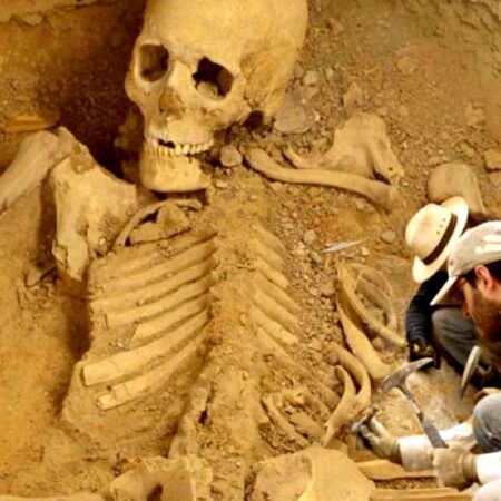 Gyökeres: O Artilheiro Sueco na Mira de Gigantes Ingleses