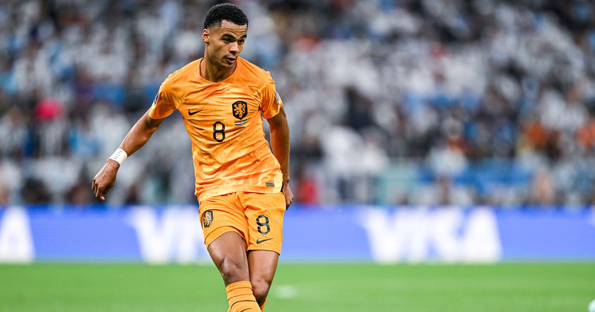 Preview Newcastle Envia Olheiros para Observar “Estrela Eletrizante”, Potencialmente o Seu Próprio Gakpo