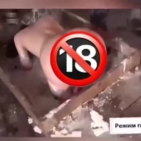 Mais Que Uma Contratação: Everton na Frente por um “Motor” de £34 Milhões