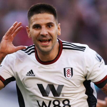 Grande Reforço à Vista: Tottenham Explora Contratação do “Monstro” Mitrovic por £26M