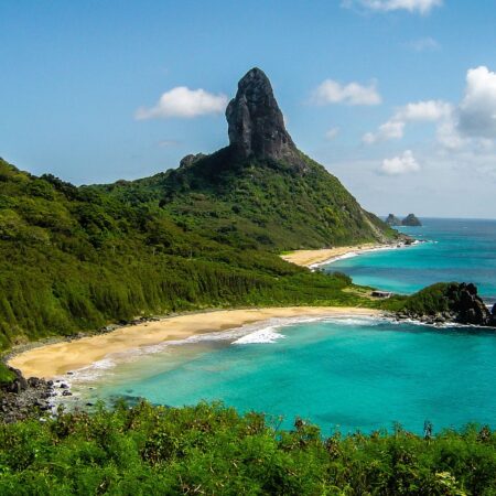 Noronha Lopes Recorda Eleições de 2020: “Quis Evitar Confrontos Entre Benfiquistas”