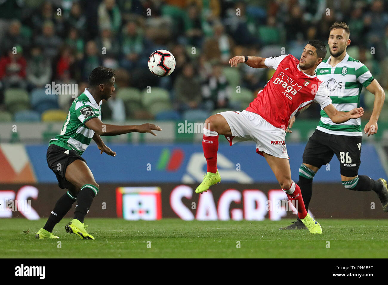 Preview Renovação de Contrato: Lucas Anjos Continua no Sporting CP