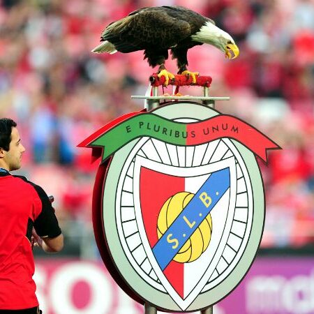 Vitória da Águia em Alverca: Bancadas Lotadas para o Benfica