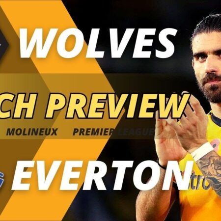 Wolves Procuram Atacante com 51 Golos na Premier League por Transferência Gratuita