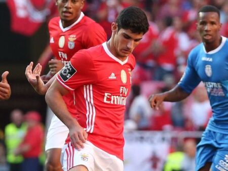 Barcelona de Olho em Gonçalo Oliveira, Promessa do Benfica