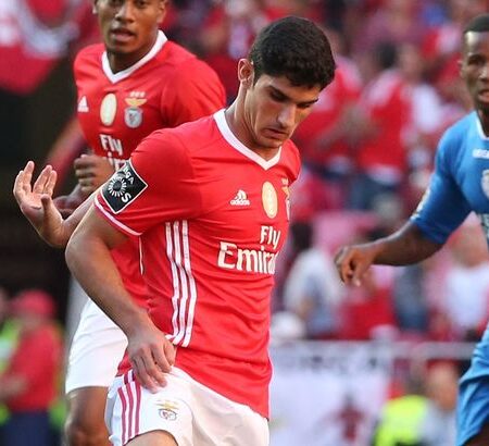 Barcelona de Olho em Gonçalo Oliveira, Promessa do Benfica