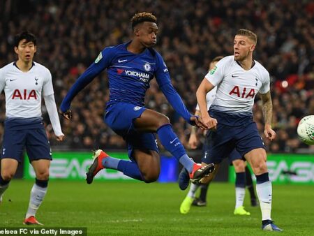 Tottenham quer contratar avançado promissor que recusou o Chelsea