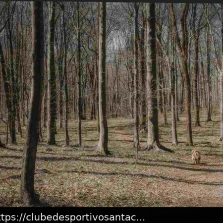 Montemiletto: Um Cão Assassinado e a Reação que a Comunidade Deve Dar