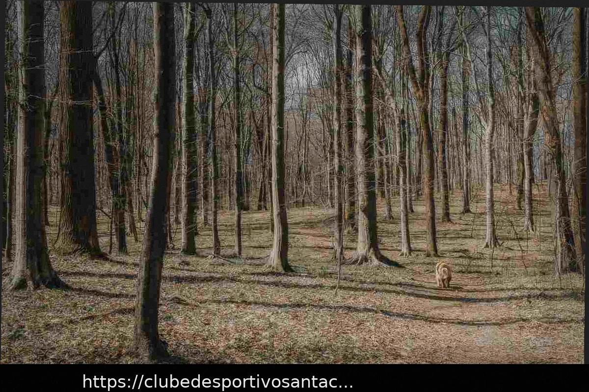 Preview Montemiletto: Um Cão Assassinado e a Reação que a Comunidade Deve Dar