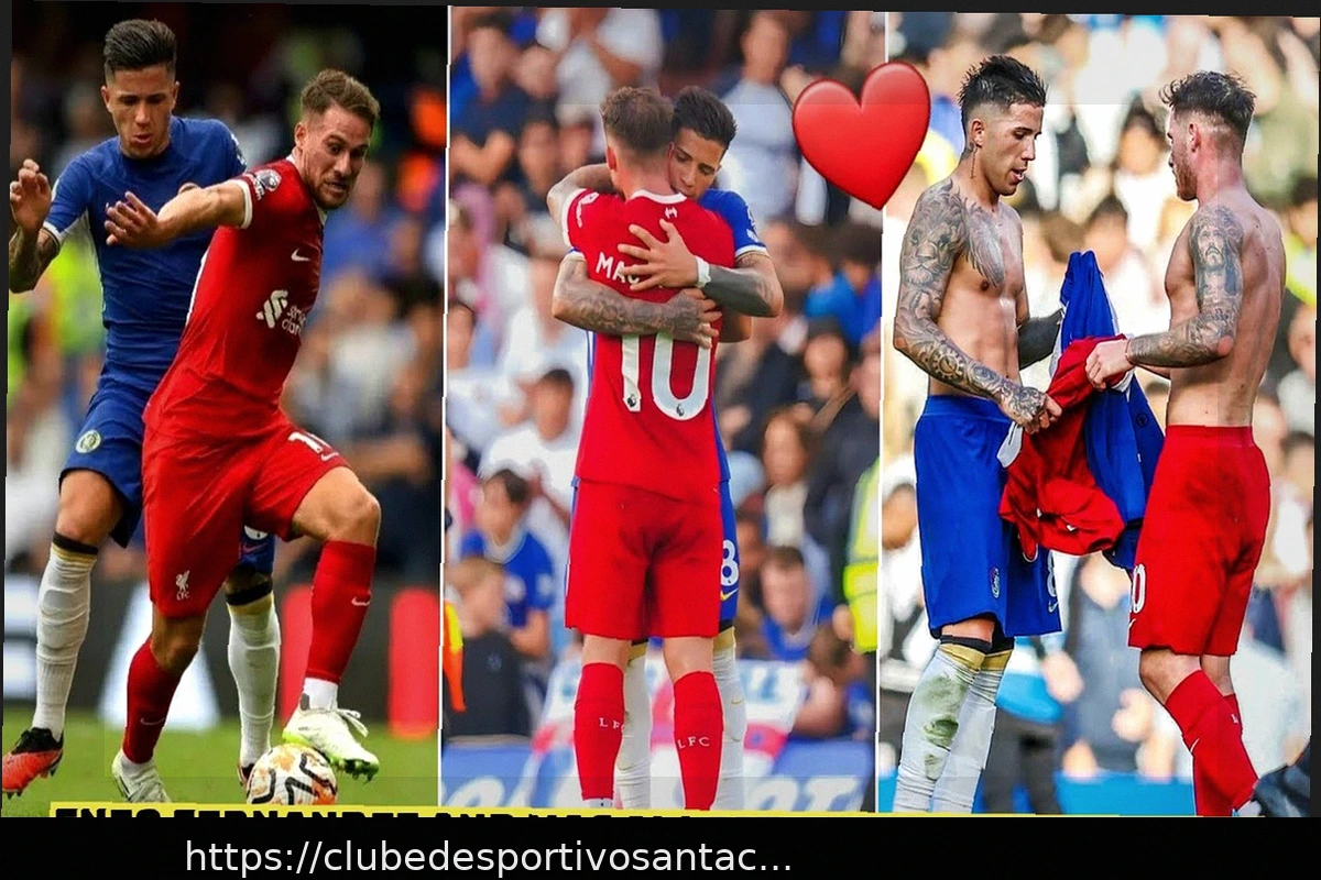 Preview Enzo Fernandez Aborda Rumores do Real Madrid Enquanto Alexis Mac Allister Reflete Sobre a Derrota na Finalíssima