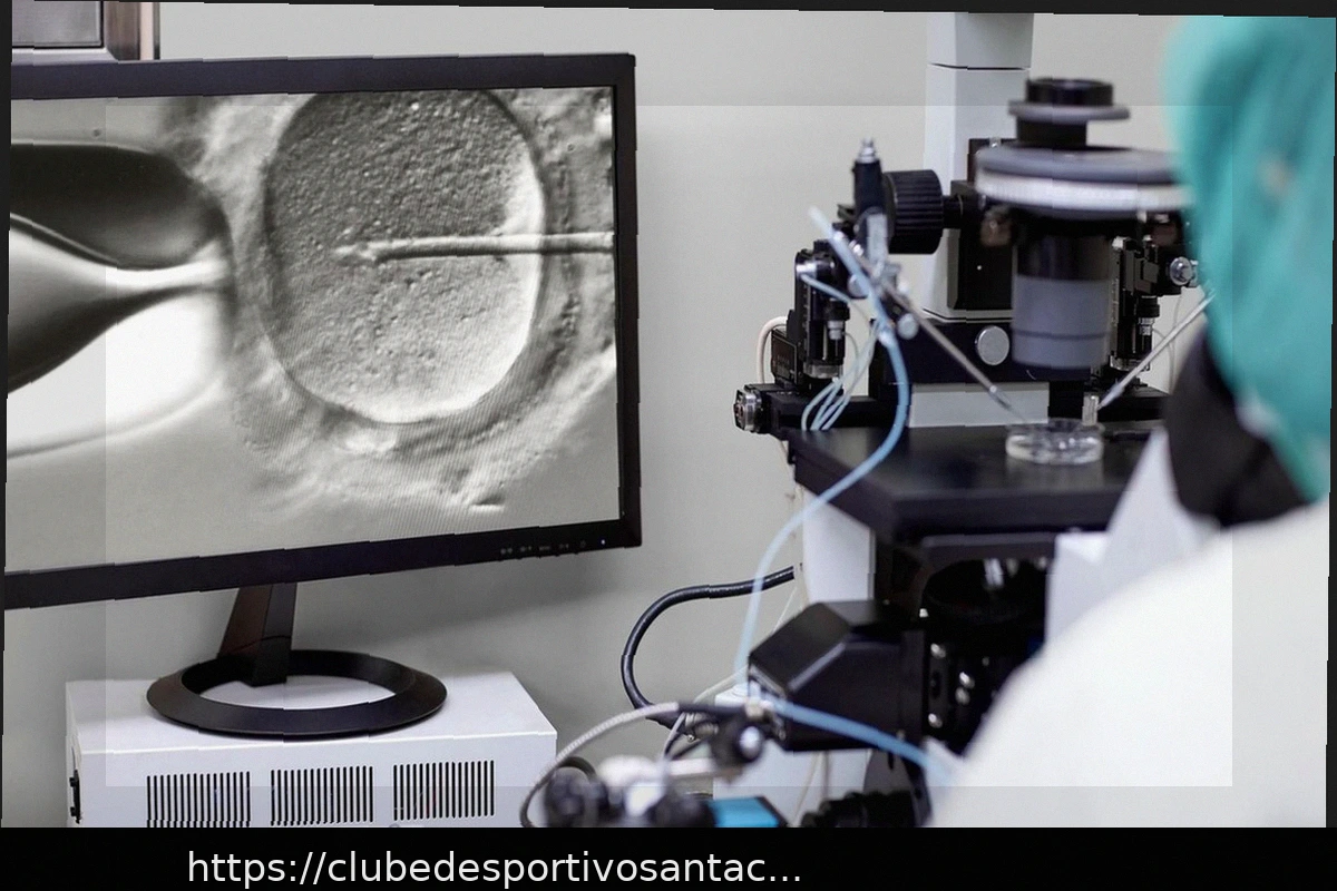 Preview Maternidade Tardia: Como o Congelamento Social de Óvulos Pode Revolucionar o Planejamento Familiar, Assim Como a Pílula Anticoncepcional