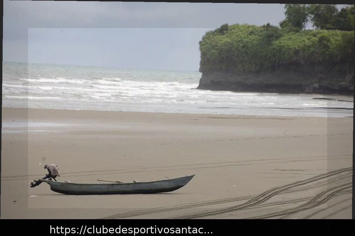 Preview Fenômeno El Niño Costeiro: O Que É e Como Pode Afetar a Colômbia?