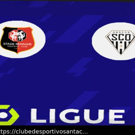 Ренн — Анже: прогноз и ставка