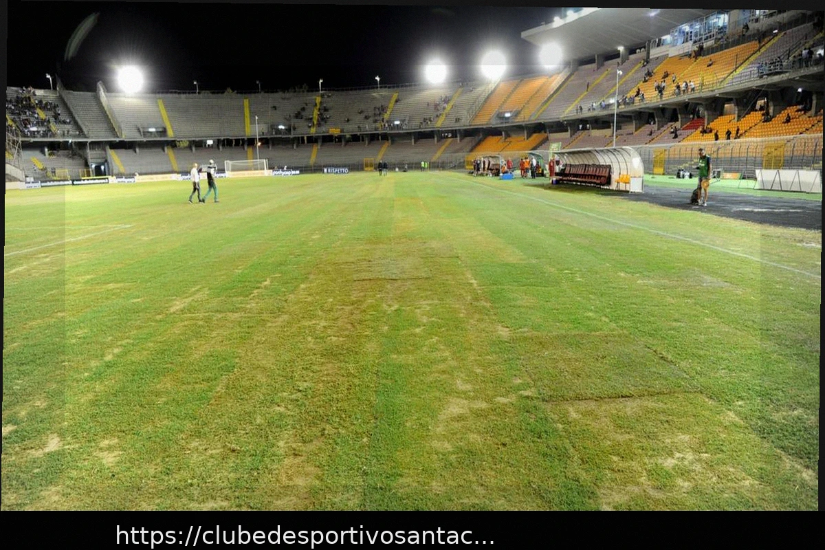 Preview Lecce x Fiorentina: Onde Assistir ao Jogo no Via del Mare