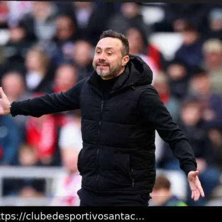 Де Дзерби призывает Тоттенхэм проявить «правильный дух» после поражения от Сандерленда