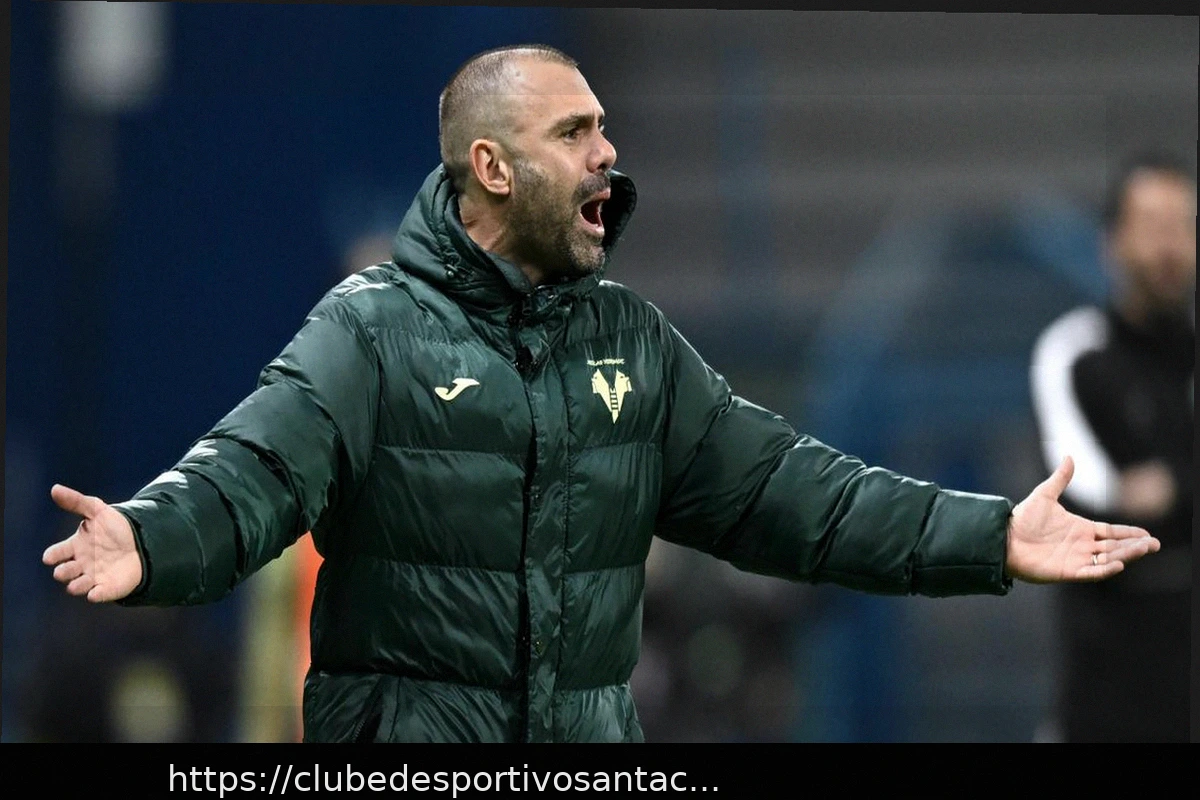 Preview Hellas Verona: Coletiva de Imprensa de Sammarco Antes de Verona x Fiorentina