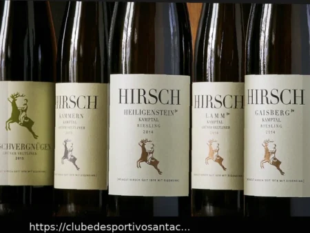 Capitão do Sub-21 Alemão, Tom Bischof, Brilha com Gols no Bayern e Visa a Copa do Mundo