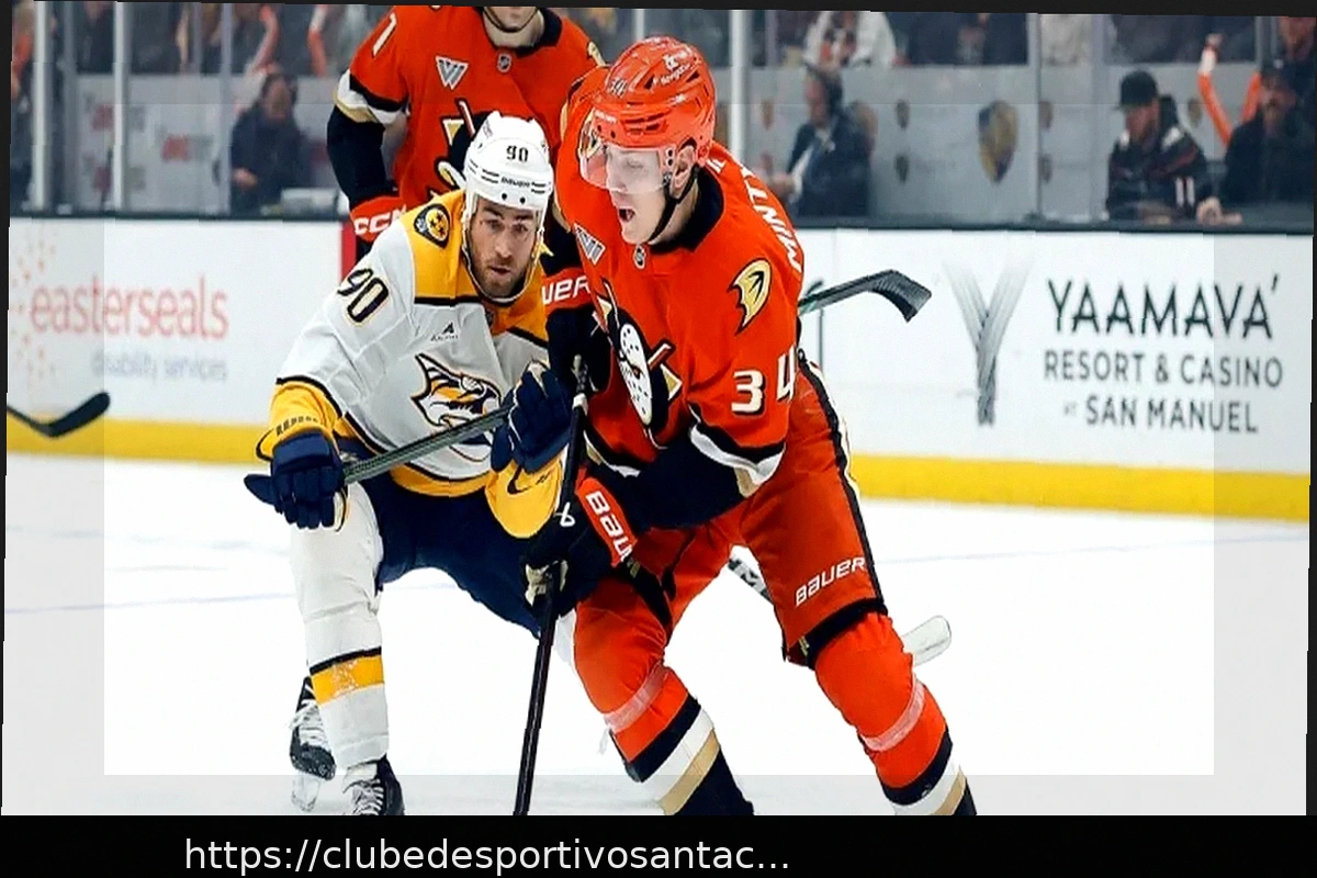 Preview Прогноз на матч НХЛ: Нэшвилл против Анахайма 17 апреля 2026 года