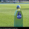 Due giocatrici della Fiorentina nella Top 11 dell’ultima giornata di Serie A Femminile