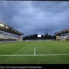 Capitão do Bologna Adverte a Fiorentina: “Mais Cansados, Mas Com Mais Ritmo de Jogo”