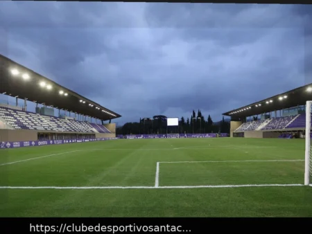 Capitão do Bologna Adverte a Fiorentina: “Mais Cansados, Mas Com Mais Ritmo de Jogo”